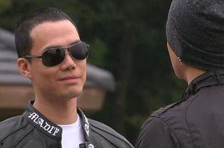 谢天华背景,从武术奇才到影视巨星，探寻他的演艺生涯传奇